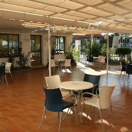 Ayamontino 2*
