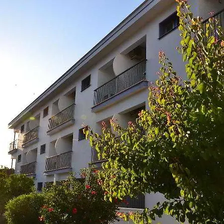 Ayamontino