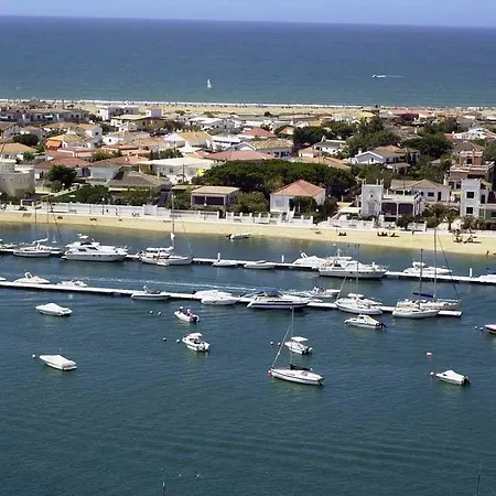 Ayamontino